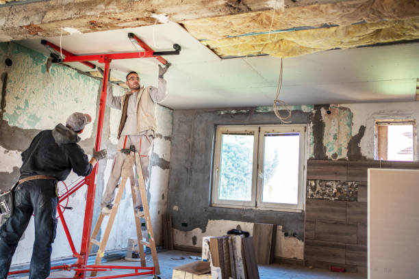 Best Cellulose Insulation in Williamsport, MD